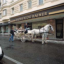 Erzherzog Rainer Hotel / ��������� ������