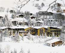 Hotel Sonnleiten / ����������