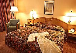 Renaissance Penta Vienna Hotel / ��������� �����